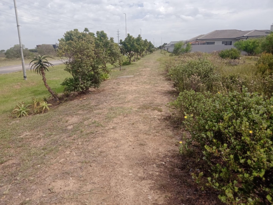 Commercial Property for Sale in Fountains Estate Eastern Cape